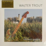 Trout, Walter: Common Ground 2LP